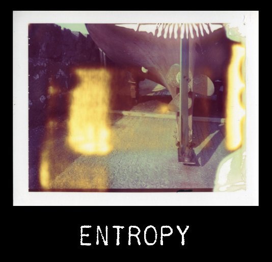 View Entropy by Shelby Silvernell