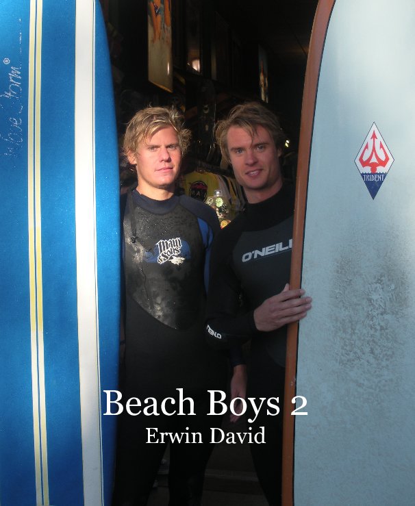 View Beach Boys 2 by Erwin David