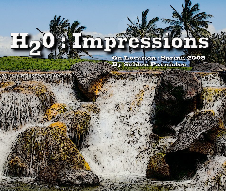 View H2O Impressions by selden parmelee