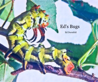 Ed's Bugs book cover