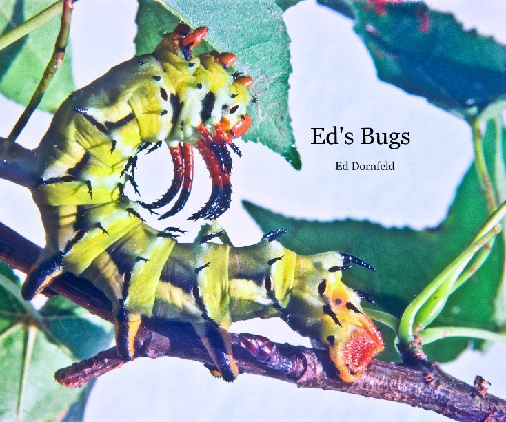 View Ed's Bugs by Ed Dornfeld