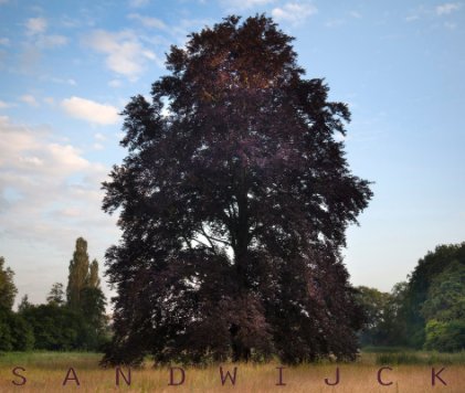 Sandwijck book cover