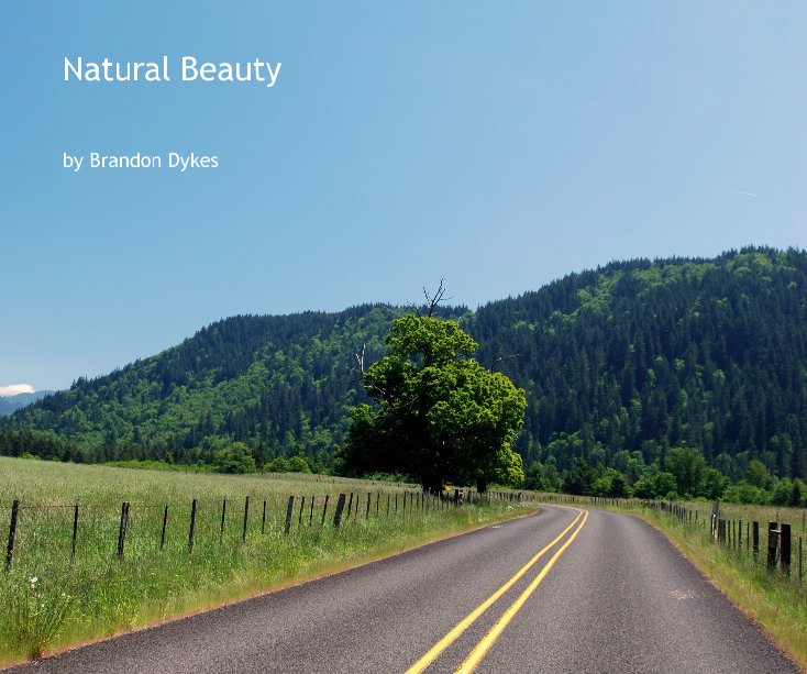 View Natural Beauty by Brandon Dykes