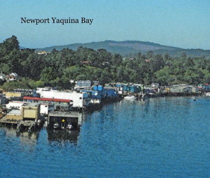 Newport Yaquina Bay book cover