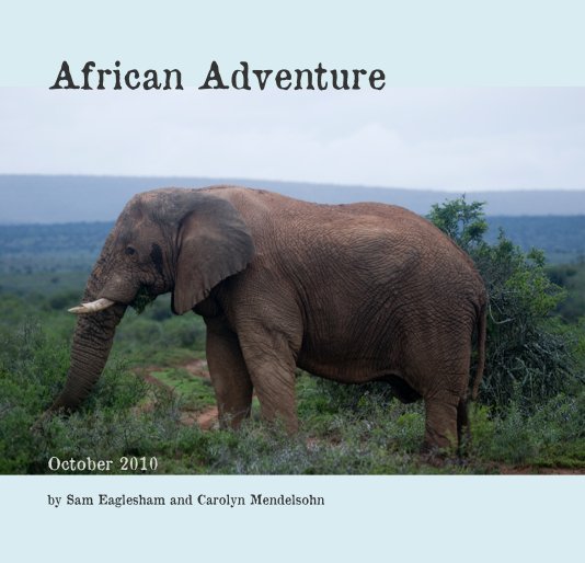 View African Adventure by Sam Eaglesham and Carolyn Mendelsohn