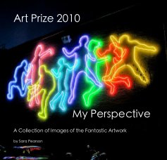 Art Prize 2010 My Perspective book cover