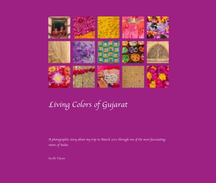 Living Colors of Gujarat book cover