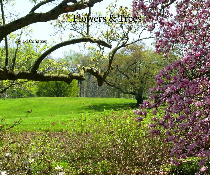 View Flowers & Trees by Ed Conatser