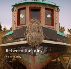 Between the tides book cover