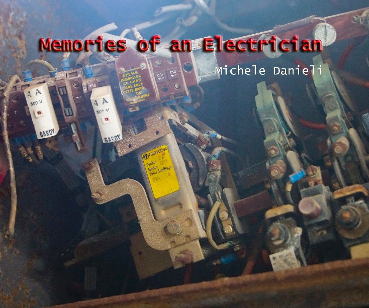 View Memories of an Electrician by Michele Danieli