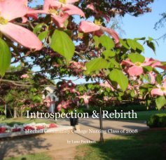 Introspection & Rebirth book cover