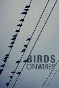 Birds On Wires book cover