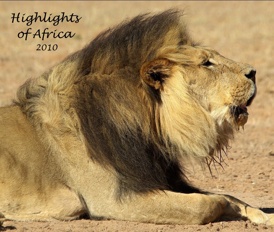 View Highlights of Africa 2010 by rdemarco