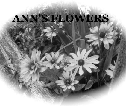 ANN'S FLOWERS book cover