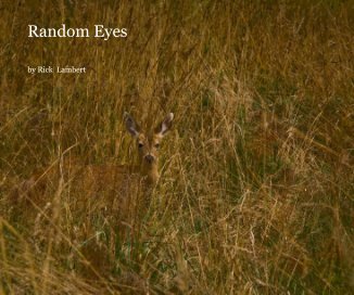 Random Eyes book cover