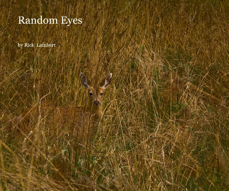 View Random Eyes by Rick  Lambert