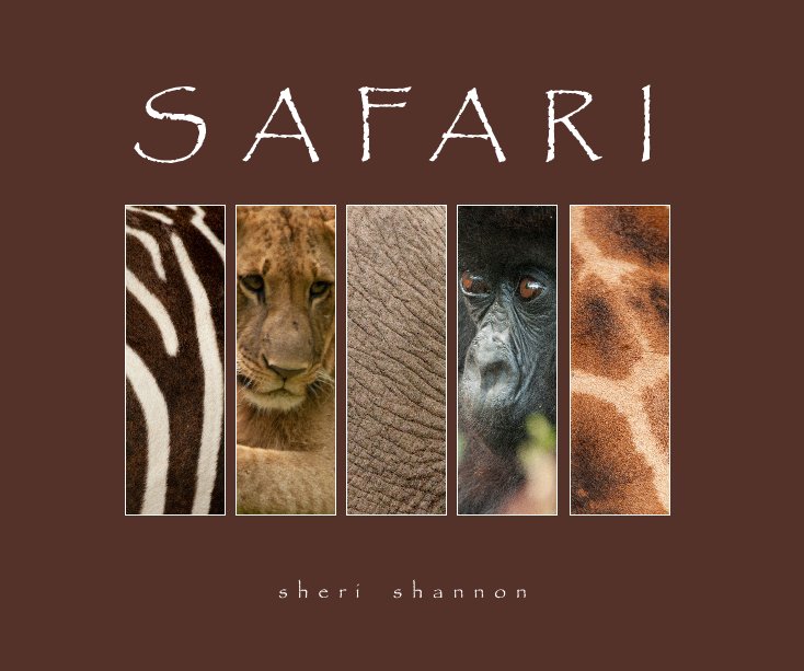 View S A F A R I by sheri shannon