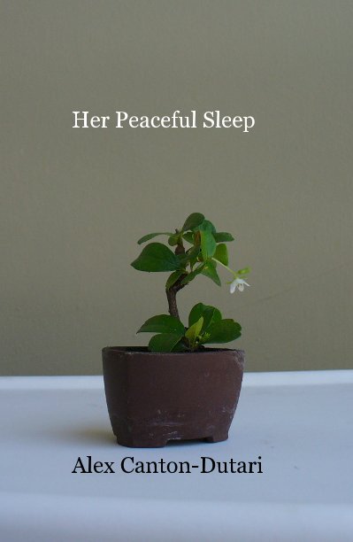 View Her Peaceful Sleep by Alex Canton-Dutari