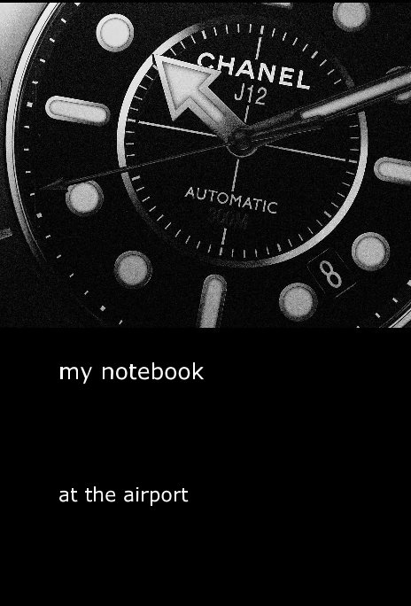 View my notebook by at the airport