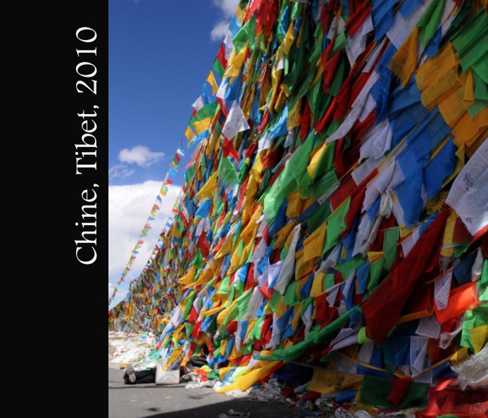 View Chine, Tibet, 2010 by Geoffray Martin