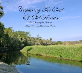 Capturing The Soul Of Old Florida book cover