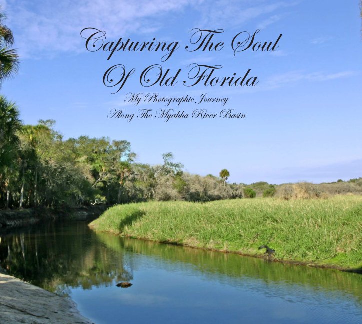 View Capturing The Soul Of Old Florida by James Thomas Paskewich