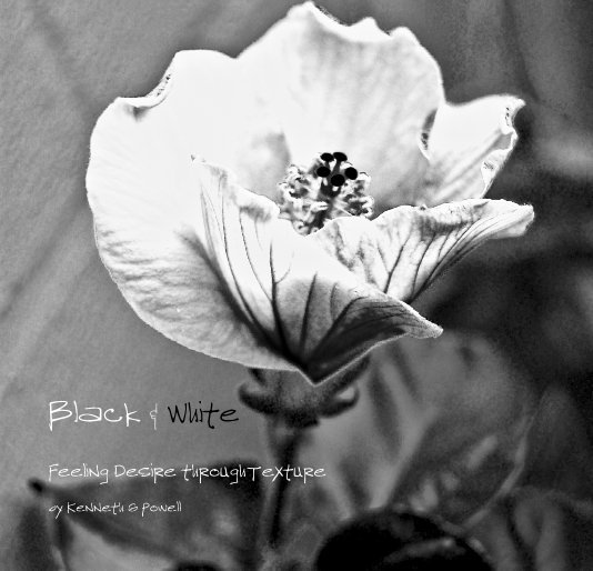 View Black and White by Kenneth G Powell