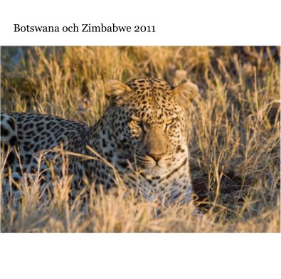 Botswana och Zimbabwe 2011 book cover