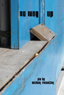 no WAY Up book cover