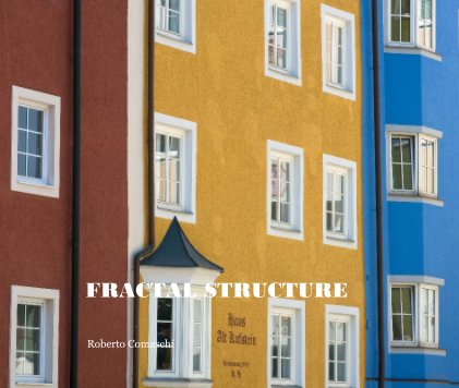 FRACTAL STRUCTURE book cover