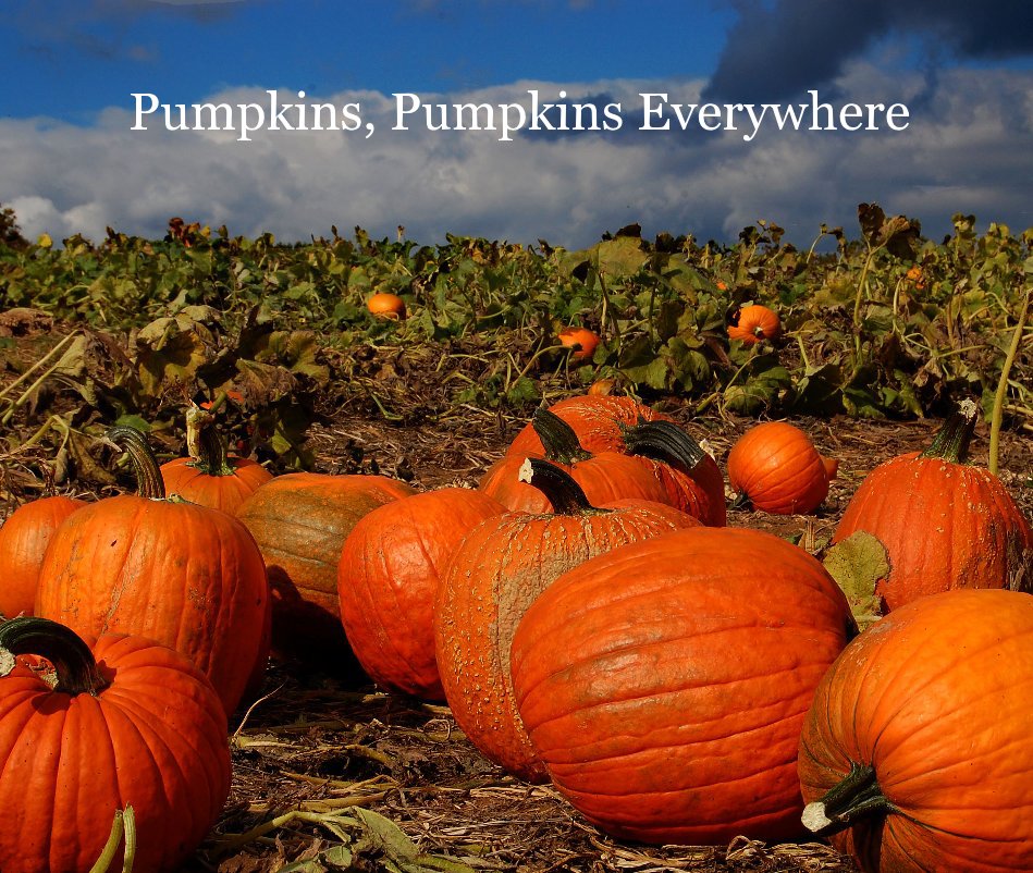 Ver Pumpkins, Pumpkins Everywhere por Kim Carey