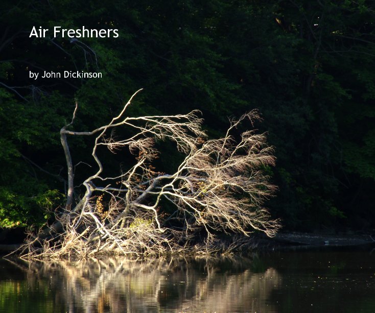 View Air Freshners by John Dickinson