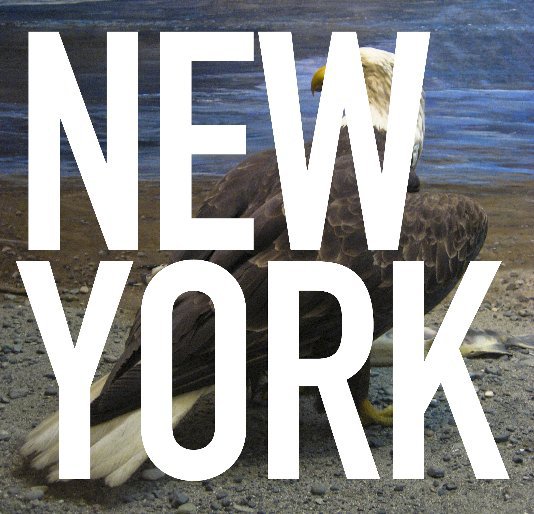 Ver New York por T&A