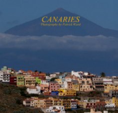 CANARIES book cover
