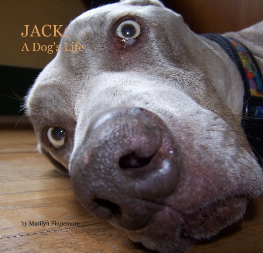 View JACK: A Dog's Life by Marilyn Finnemore