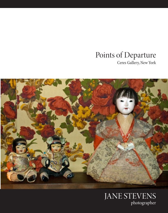 View Points of Departure by Jane Stevens