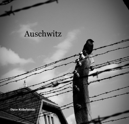 View Auschwitz by Dave Kobylanski