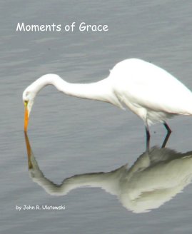 Moments of Grace book cover