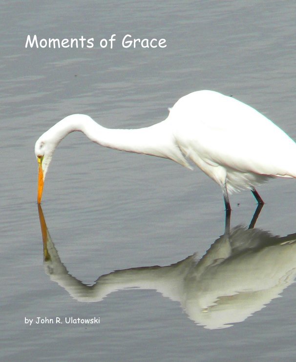 View Moments of Grace by John R. Ulatowski