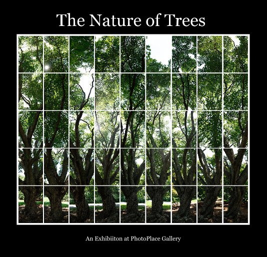 View The Nature of Trees by An Exhibiiton at PhotoPlace Gallery