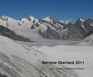 Bernese Oberland 2011 book cover