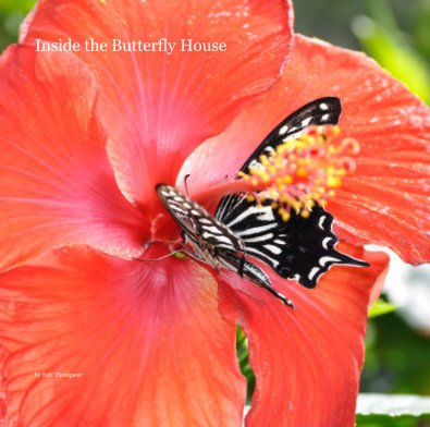 Inside the Butterfly House book cover
