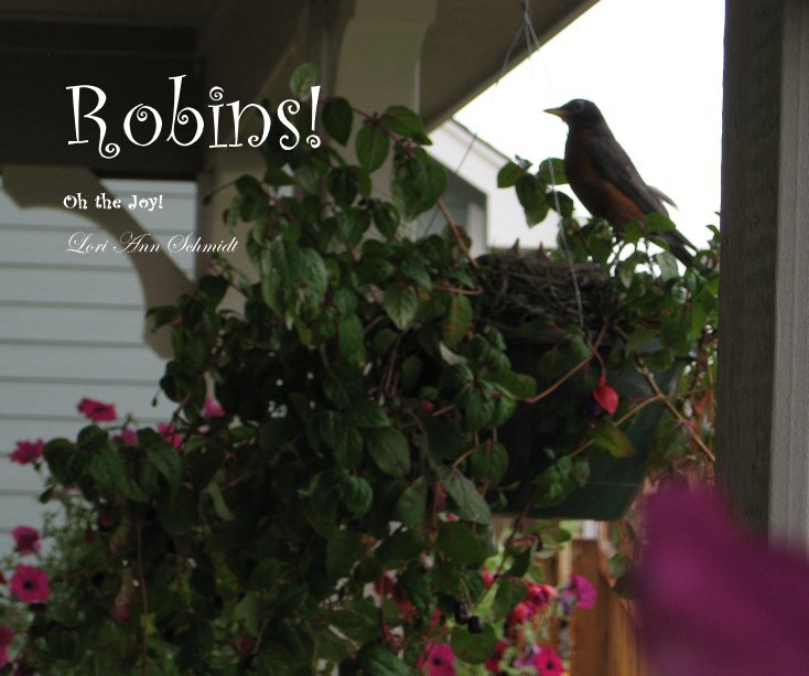 View Robins! by Lori Ann Schmidt