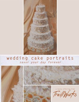 wedding cake portraits book cover