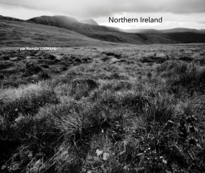 Northern Ireland book cover
