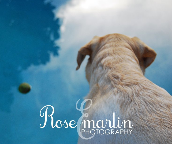 Bekijk DOGS op Rose E. Martin Photography