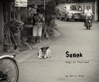 Sunak book cover