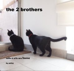 the 2 brothers book cover