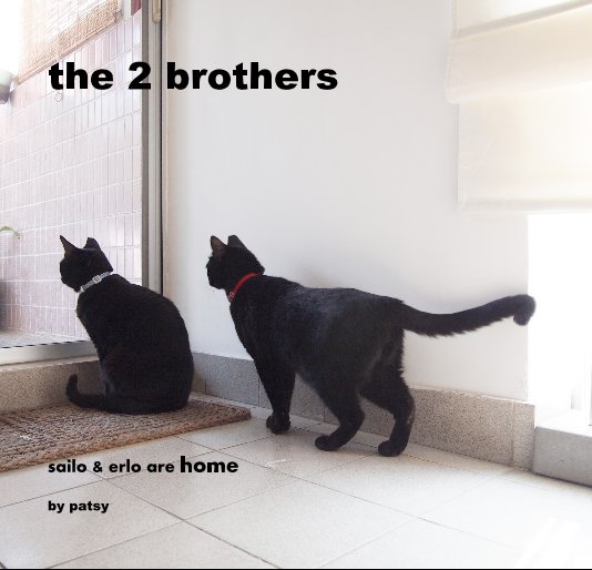 View the 2 brothers by patsy