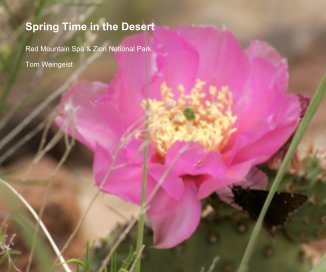 Spring Time in the Desert book cover